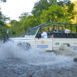 jeep tour em paraty passeio para alambique passeio para cachoeira cachoeira em paraty